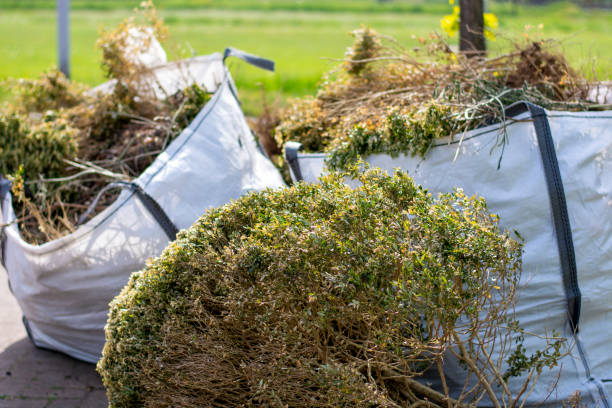 Best Dumpster Rental Services  in Brickerville, PA